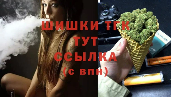 гашик Алексеевка