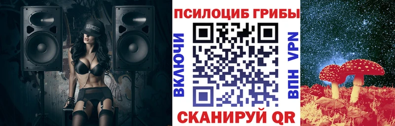 наркота  Тимашёвск  Псилоцибиновые грибы прущие грибы 