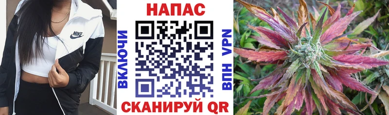 Каннабис OG Kush  купить  сайты  ссылка на мегу ONION  Тимашёвск 